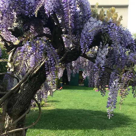 住宿加早餐酒店 Marlene