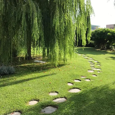 Marlene 3* 阿尔本加