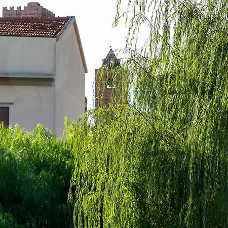 Marlene 住宿加早餐酒店 阿尔本加