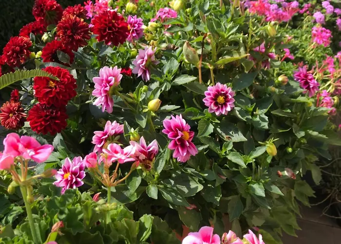 Marlene Bed & Breakfast 3*